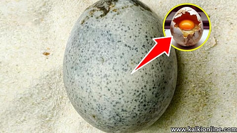1700 Years Old Romanian Egg.
