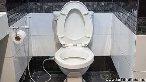 How to use a Western Toilet?