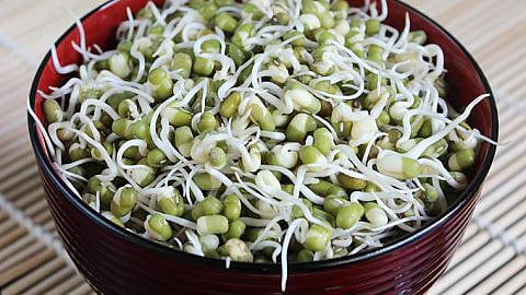 Health Nutrients in Sprouted Lentils