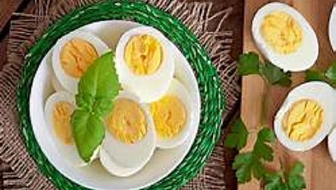 Can you eat eggs every day?