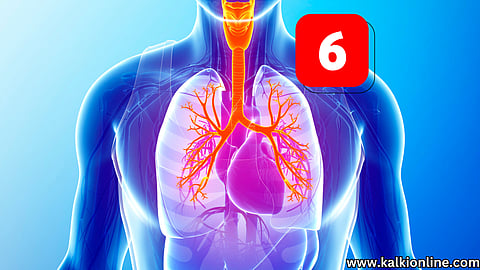 6 Amazing Foods That Clean Your Lungs!