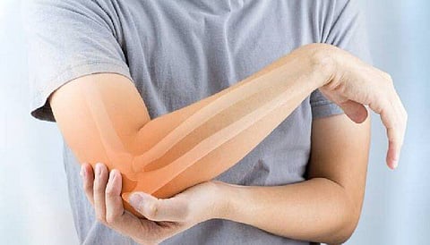 Eight Foods That Make Bones Stronger