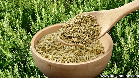 Rosemary leaves Benefits.