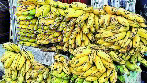 Malaikka vaikkum Malai Vaazhai pazhathin Arokkiya Nanmaigal