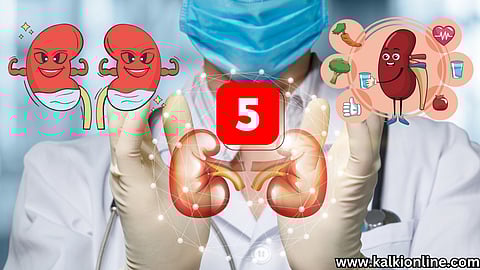 சிறுநீரக ஆரோக்கியத்தை மேம்படுத்தும் 5 முக்கிய வழிகள்!