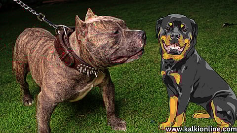 Banned Dogs in India