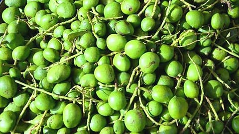வடு மாங்காய்...