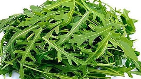 அருகுலா கீரை