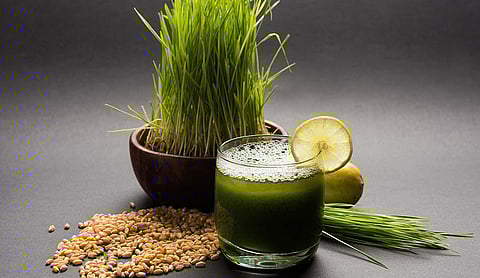 Health Benefits of Weed Grass Juice