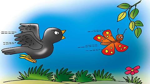 a black bird chasing the butterfly