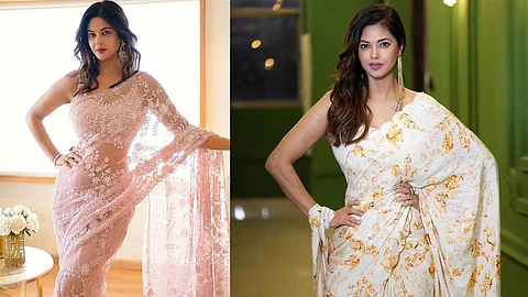 Actress Meera Chopra