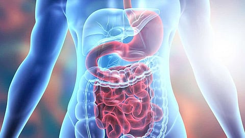 Simple steps to keep stomach clean