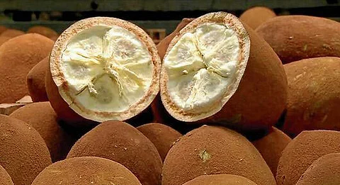 Have you heard about the 'Cupuassu' fruit?