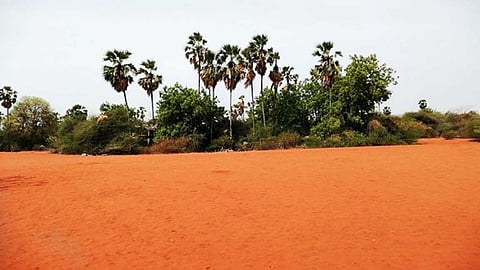 தேரிக்காடு...