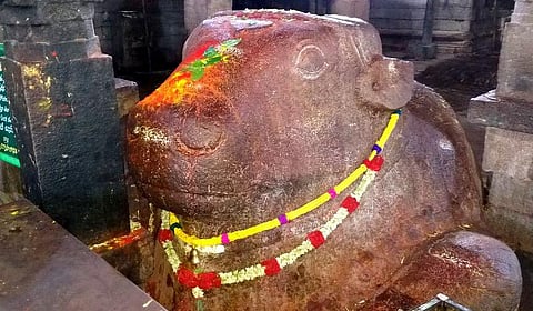 Do you know in which temple Nandi will be resurrected at the end of Kaliyuga?