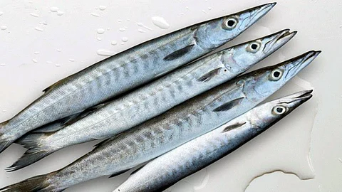 Fish Farms