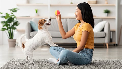 Benefits of owning a pet