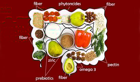 10 Foods for Healthy Digestion