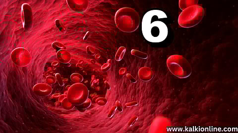 6 amazing foods that increase blood