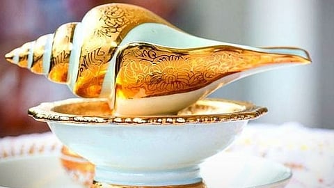 History and Uses of Conches