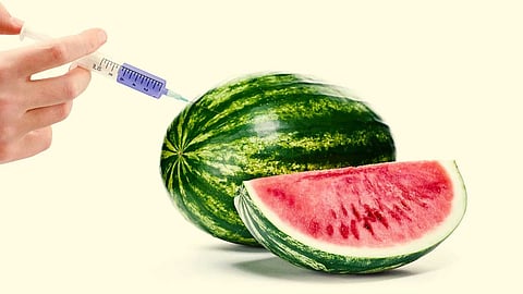 chemical adulteration in watermelon