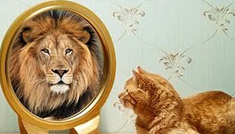 Know about the Dunning-Kruger effect that affects practical life
