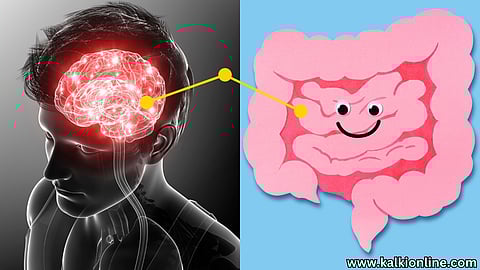 Gut-Brain Connection