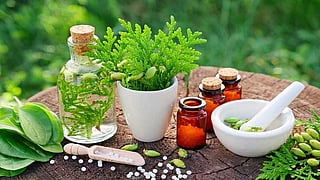 மூலிகைகள்