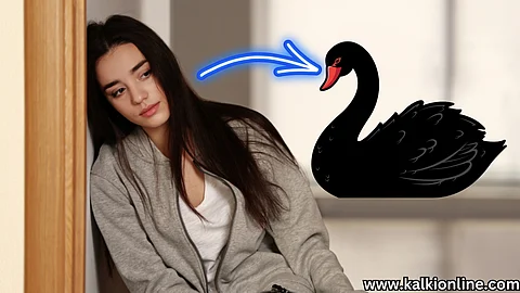 Black Swan Events