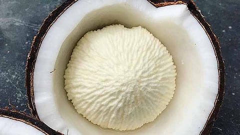 Health Benefits of Coconut Flower