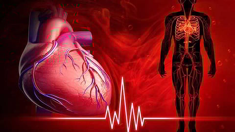 Human body with Heart