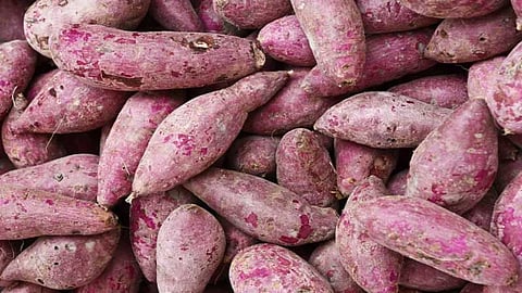 Sarkkaraivalli kizhangu