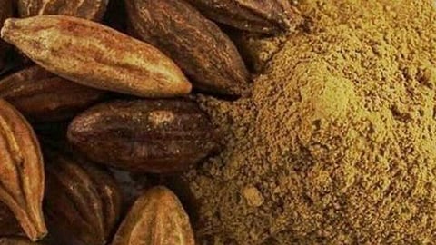 உடலுக்கு உரமேற்றும் கடுக்காய் பொடி மகத்துவம்!