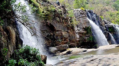 Agasthiyar waterfall