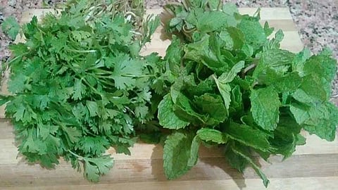 கோடையில் உட்கொள்ள ஆயுர்வேதம் பரிந்துரைக்கும் ஏழு வகை உணவுகள்!