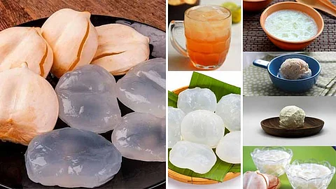 கோடையில் அனைவரும் விரும்பும் 'ஐஸ் ஆப்பிள்' எனப்படும் 'நுங்கு' ரெசிப்பீஸ்!