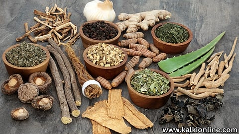 Adaptogens