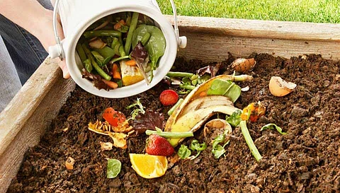 14 rules to follow for a green home environment