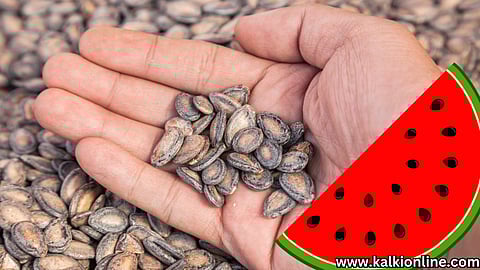 Watermelon Seeds
