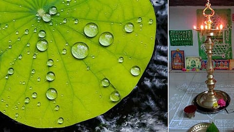 தாமரை இலைத் தண்ணீர்...