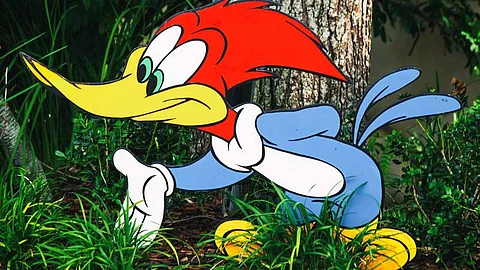 Woody Woodpecker