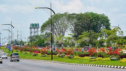 சாலையின் நடுவே அரளிச் செடிகள்