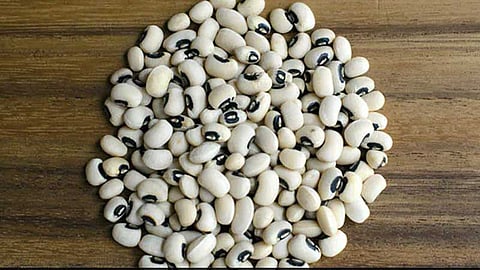 Lobia Beans