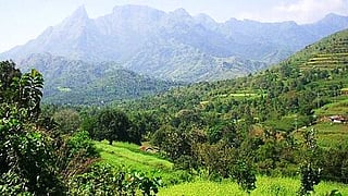 அட்டப்பாடி ...