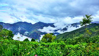 கோத்தகிரி ...