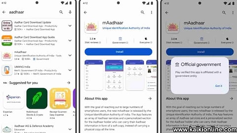 Government App on Play Store