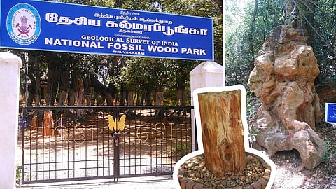 Thiruvakkarai National Stone Tree Park
