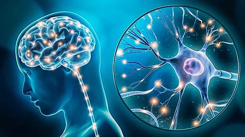 Neuroscience