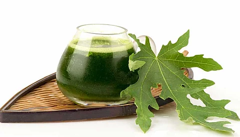 பப்பாளி இலைச்சாறு