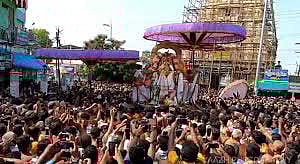 காஞ்சி வரதர் குடையழகு